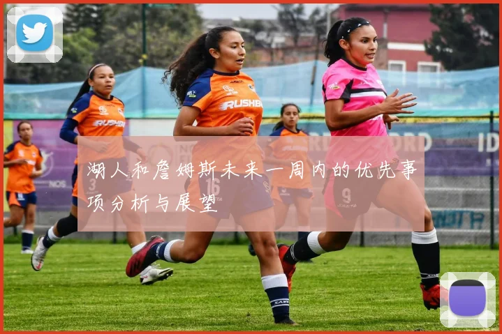 湖人和詹姆斯未来一周内的优先事项分析与展望